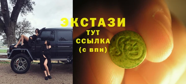 гашик Няндома