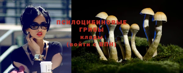 эйфоретик Богородицк