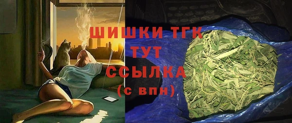 ешки Богданович