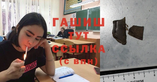 spice Бородино