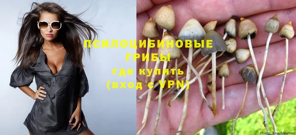 гашиш Богородск