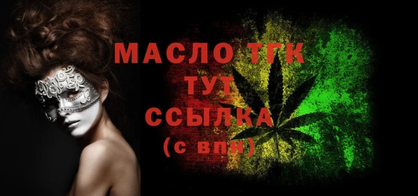 гашик Няндома